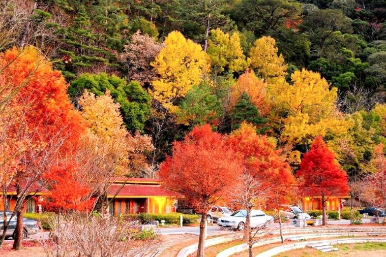 Tour Đài Loan: Đài Bắc - Đài Trung Khởi Hành Từ Đà Nẵng